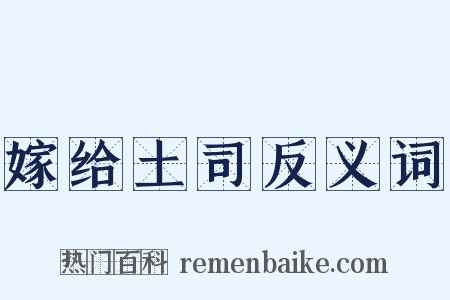 嫁给土司反义词是什么意思的图片